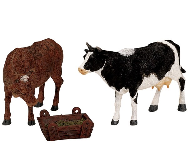 LEMAX - Feeding Cow &amp; Bull